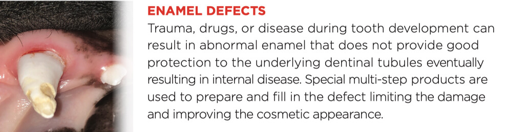 enamel defects