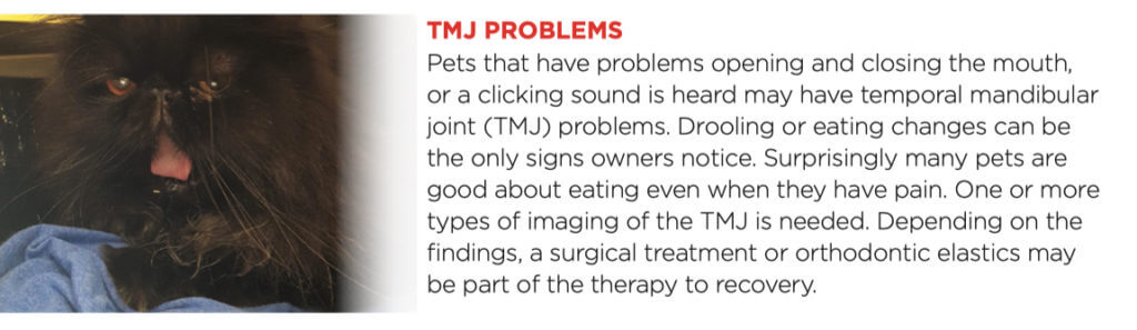 TMJ Problems