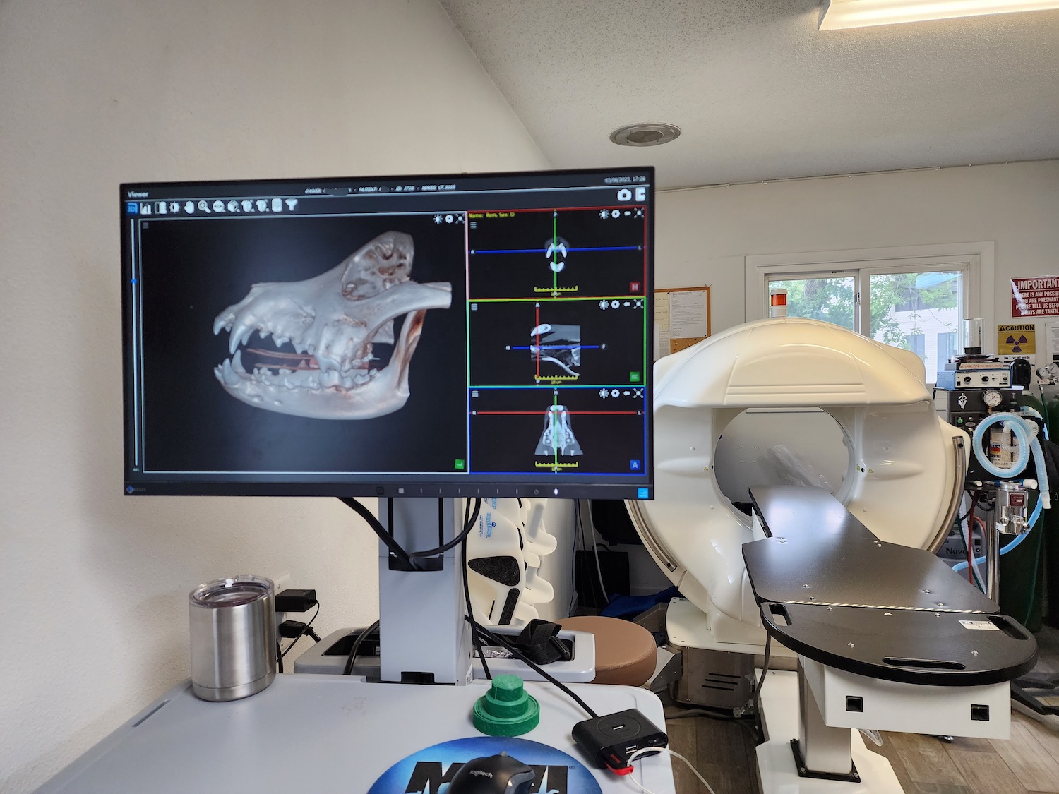 3-D Imaging Animal Dentistry Referral Services