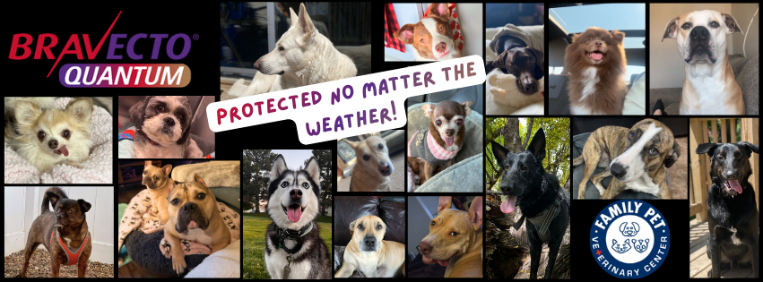 Protected pets