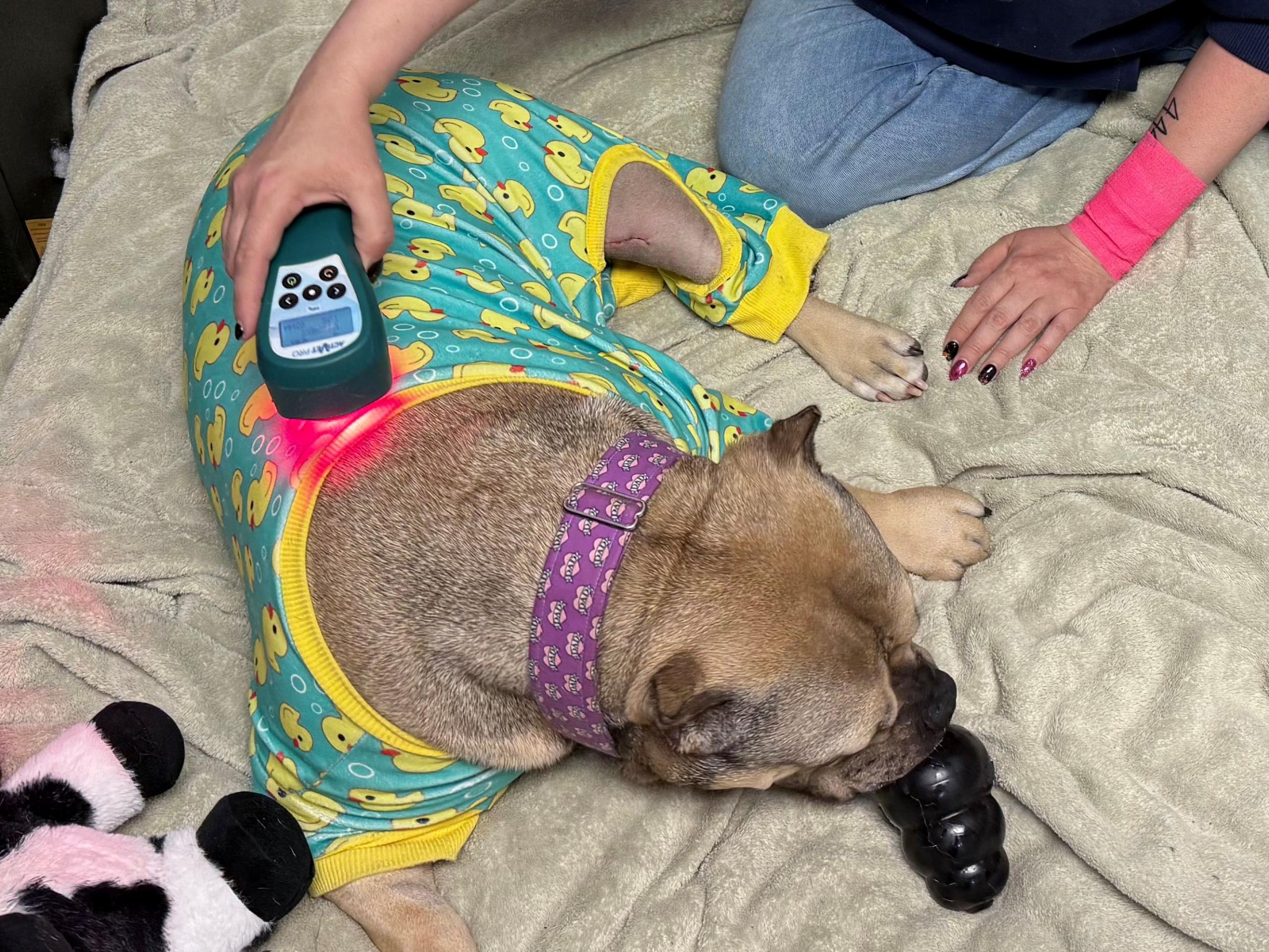 lasertherapy2