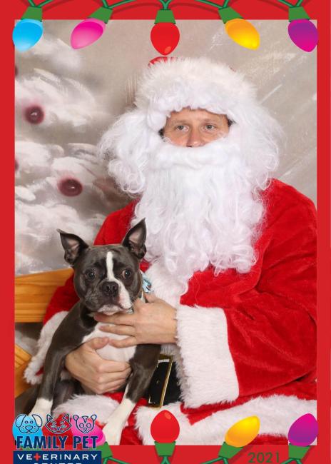 Santa Photo - Benny