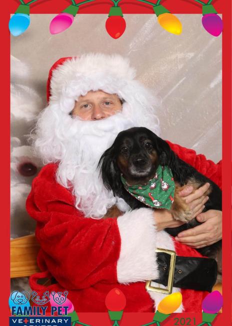 Santa Photo - Billie Jean