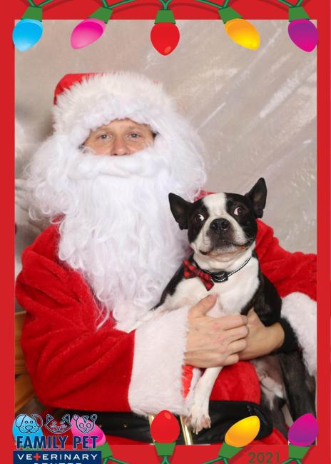 Santa Photo - Dexter