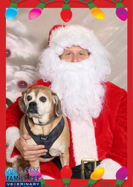 Santa Photo - Goober