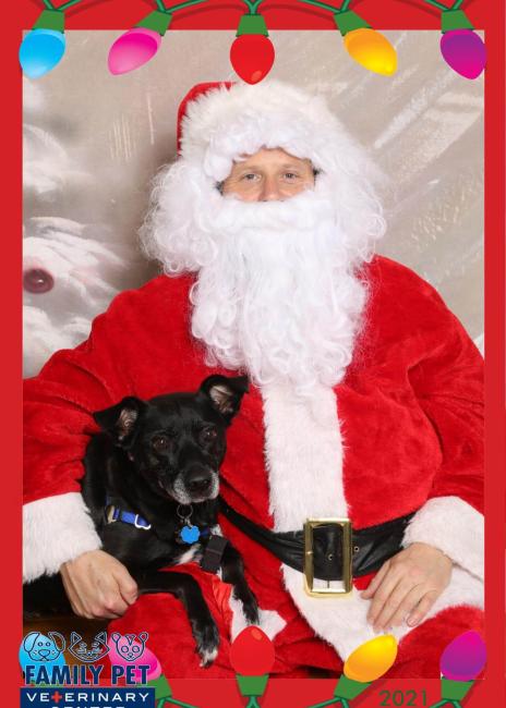 Santa Photo - Gracie