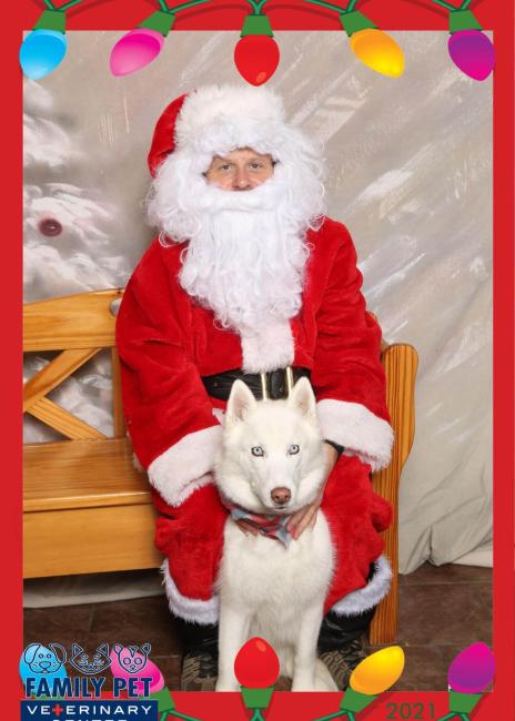 Santa Photo - Leia