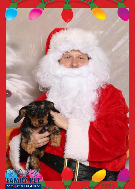 Santa Photo - Mathis