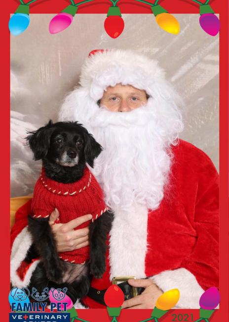 Santa Photo - Nellie