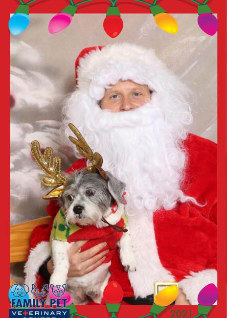 Santa Photo - Oreo