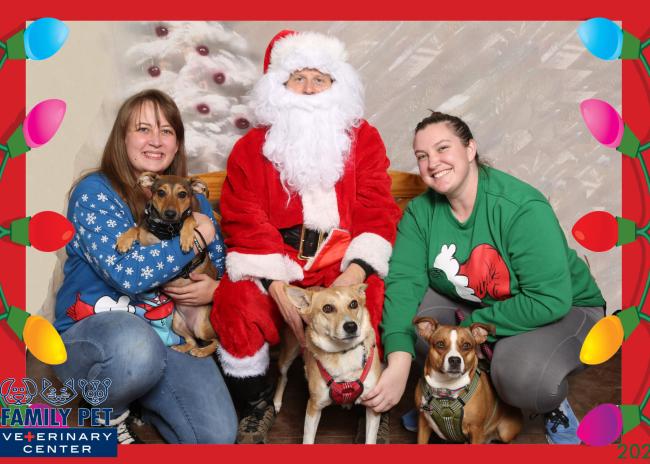 Santa Photo - Phoenix, Piper, Emma