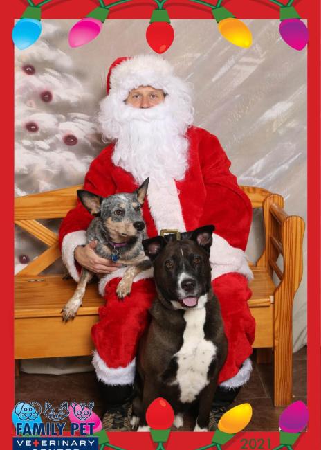 Santa Photo - Steel, Blue Bell