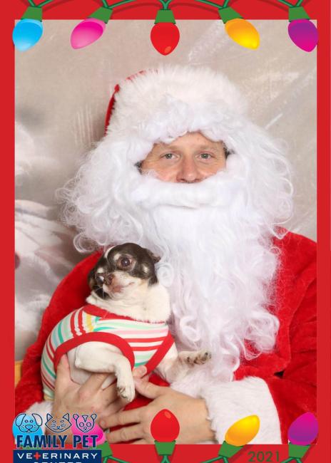 Santa Photo - Twitch