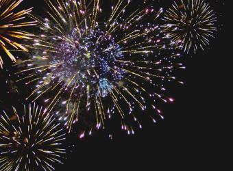 Dogs and Fireworks