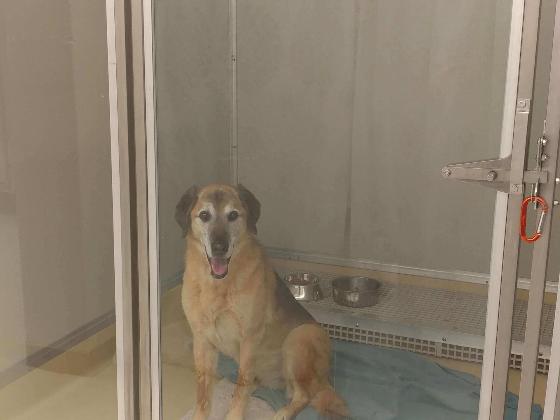 boarding_glass_front